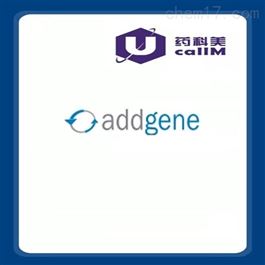 addgene特约代理