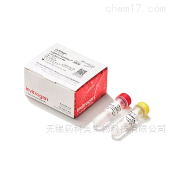 L3000015 L3000075Lipofectamine 3000 转染试剂