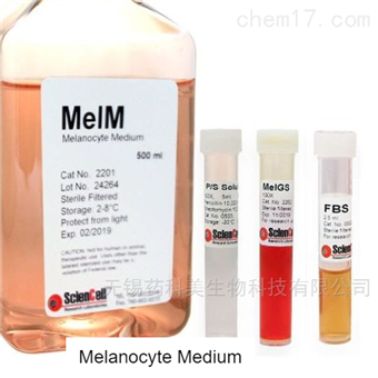Melanocyte Medium2201黑色素细胞培养基 MelM