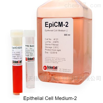 Epithelial Cell Medium-24121上皮细胞培养基-2-serum free EpiCM-2