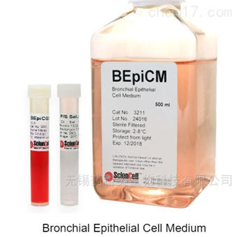Bronchial Epithelial Cell支气管上皮细胞培养基-serum free BEpiCM
