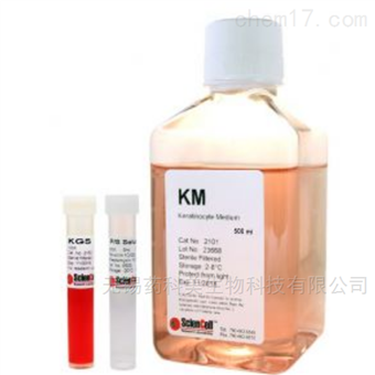 2101角质细胞培养基-serum free  KM