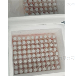 Matrigel®减少生长因子(GFR)基膜基质胶