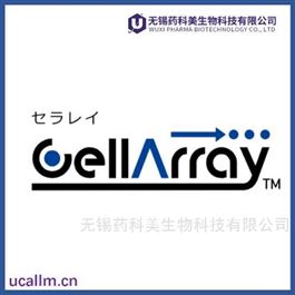 Oji Holdings Corporation  中国代理