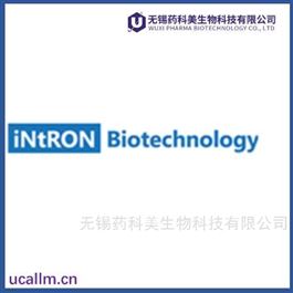 Intron  中国代理