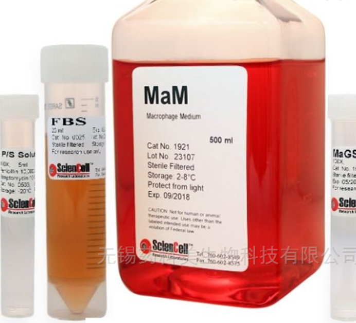 巨噬细胞的培养基的安全操作要求